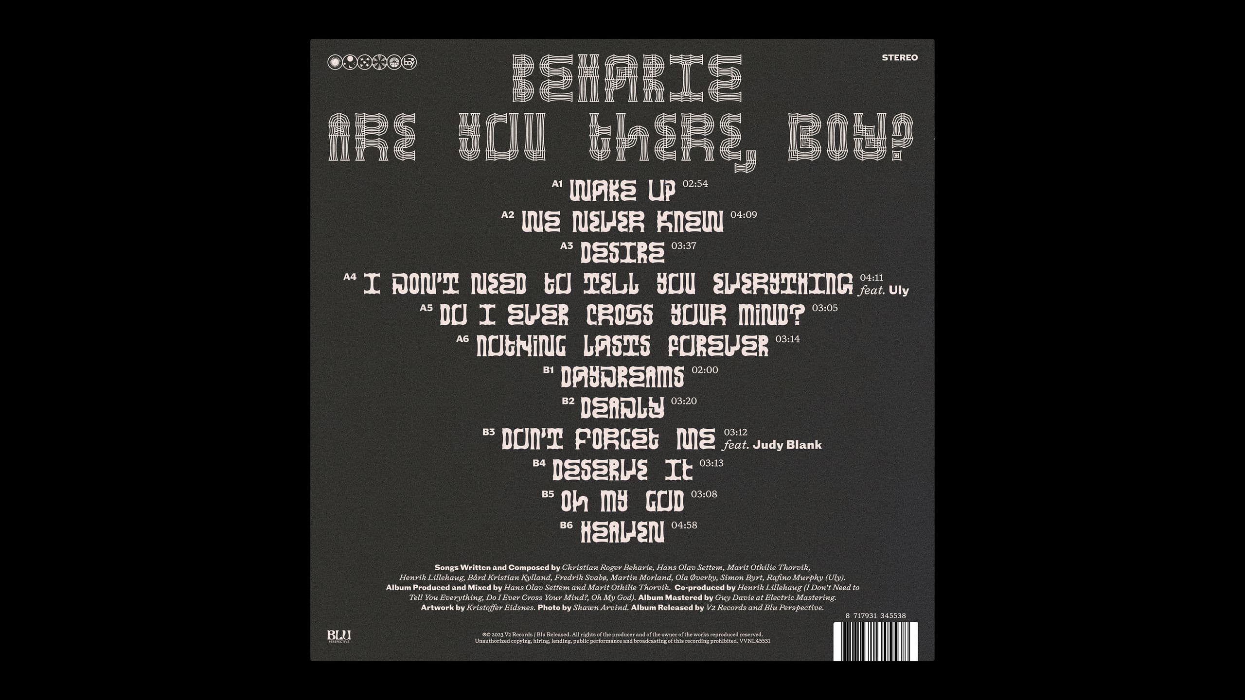 Beharie Visuelt 14 Vinyl Back