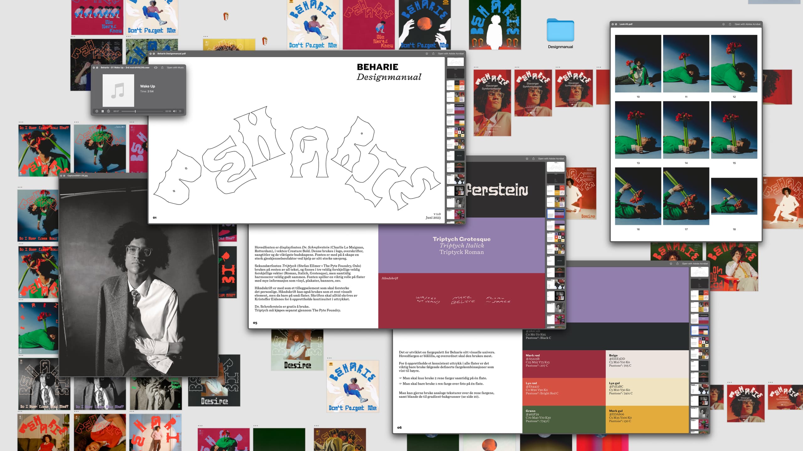 Beharie Visuelt 23 Designmanual og skisser