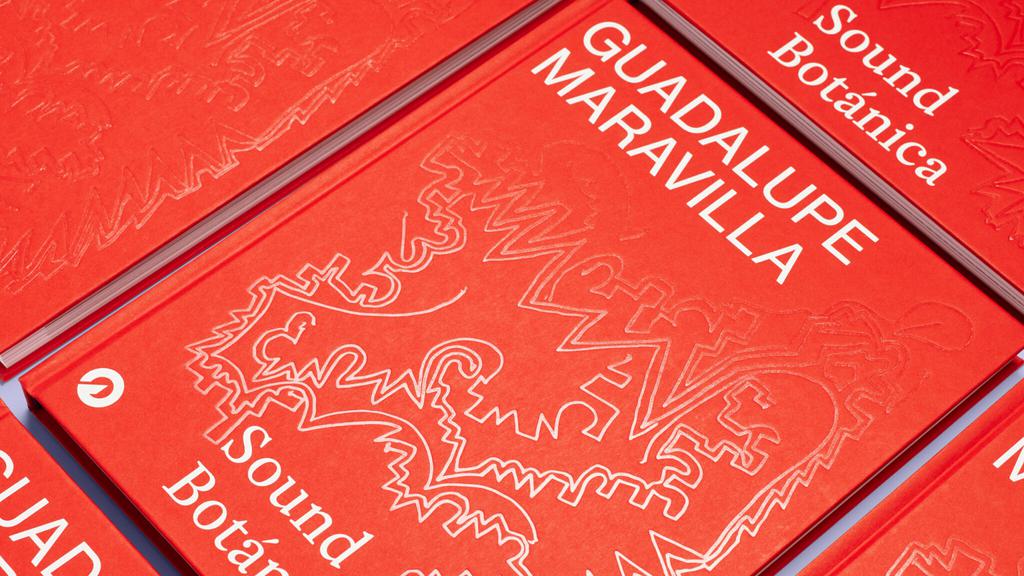 Guadalupe Maravilla hero