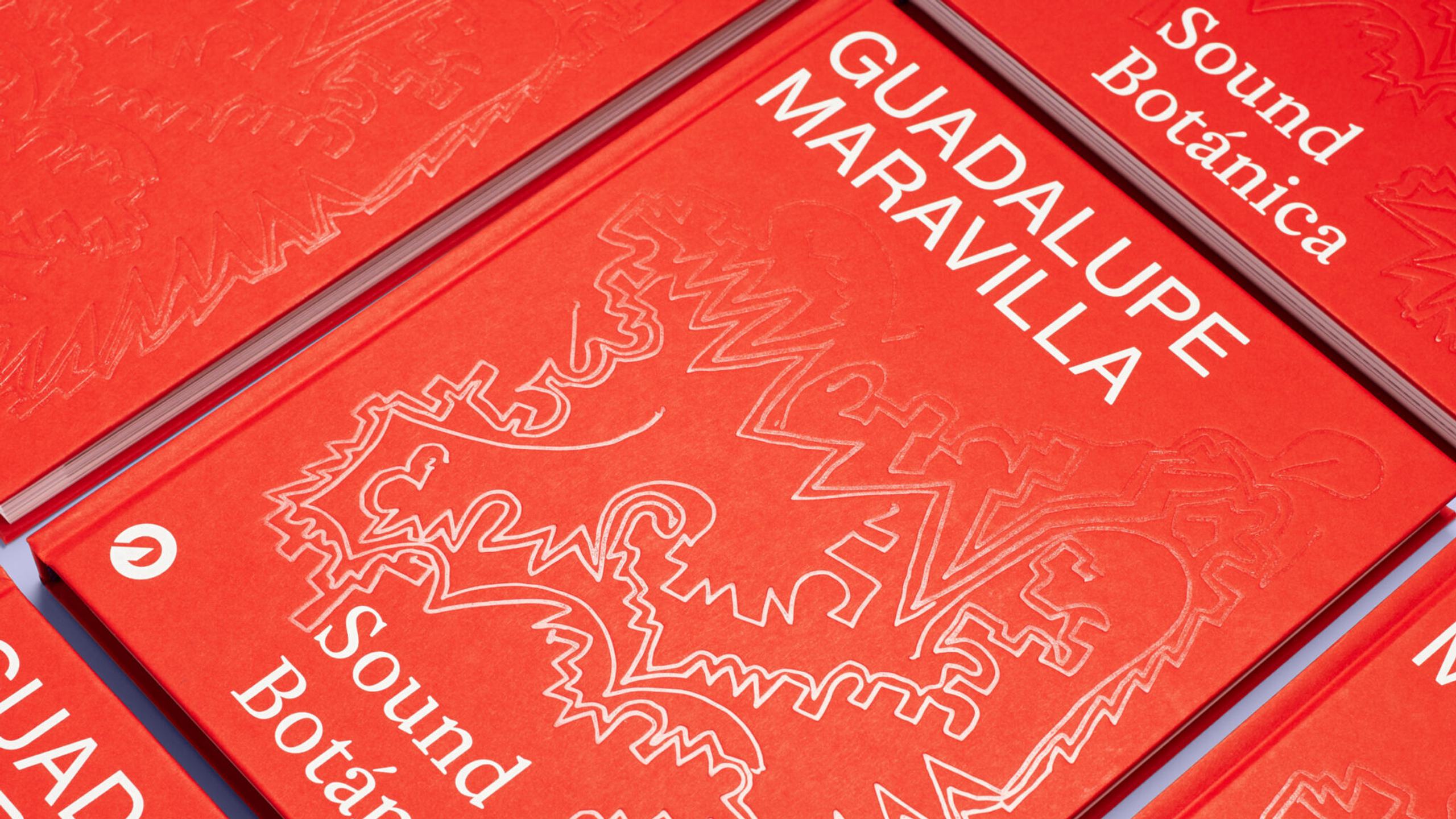Guadalupe Maravilla hero