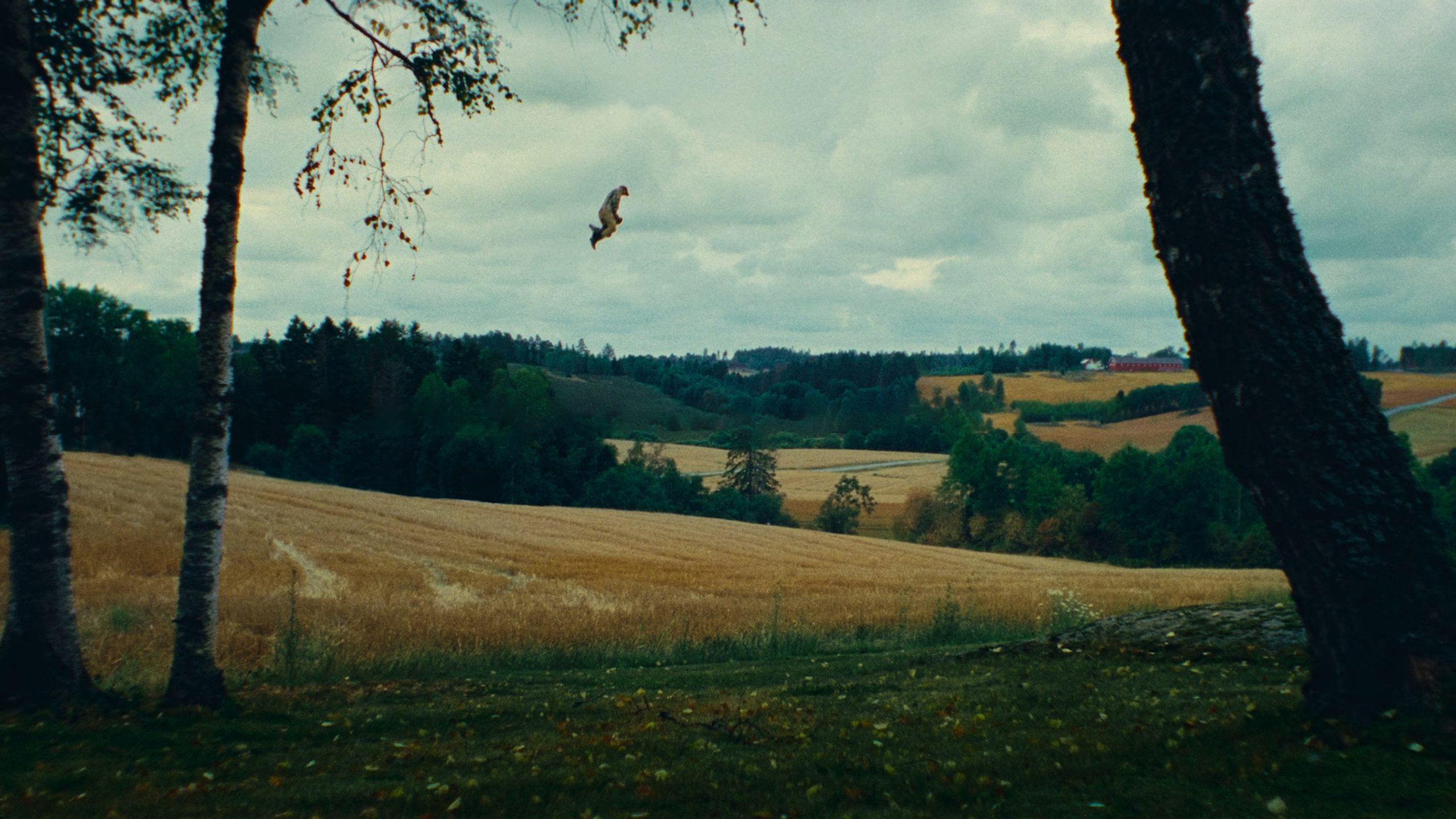 DEFA Still