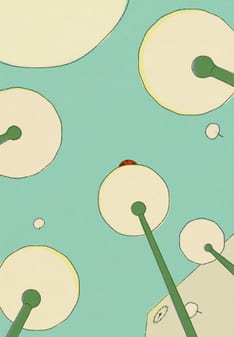 4 Bynatur og biologisk mangfold